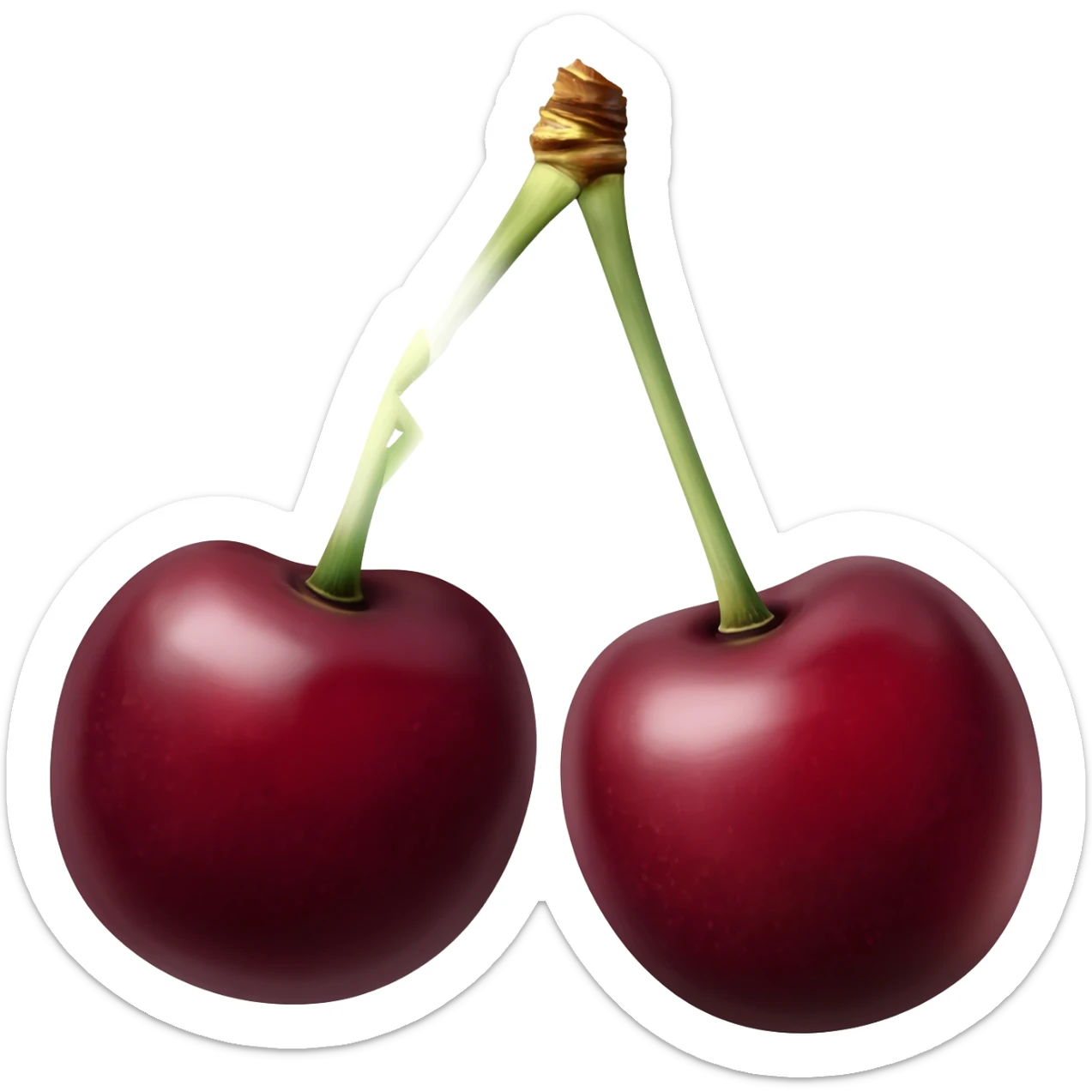 i want black-stemmed dark cherries sticker