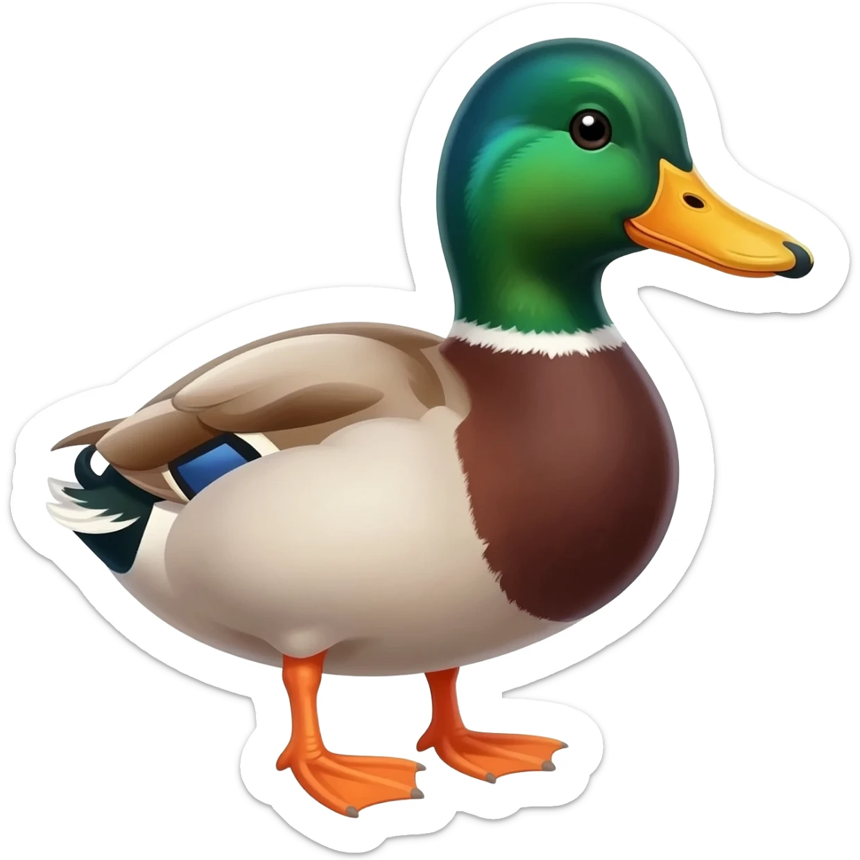 male duck sticker