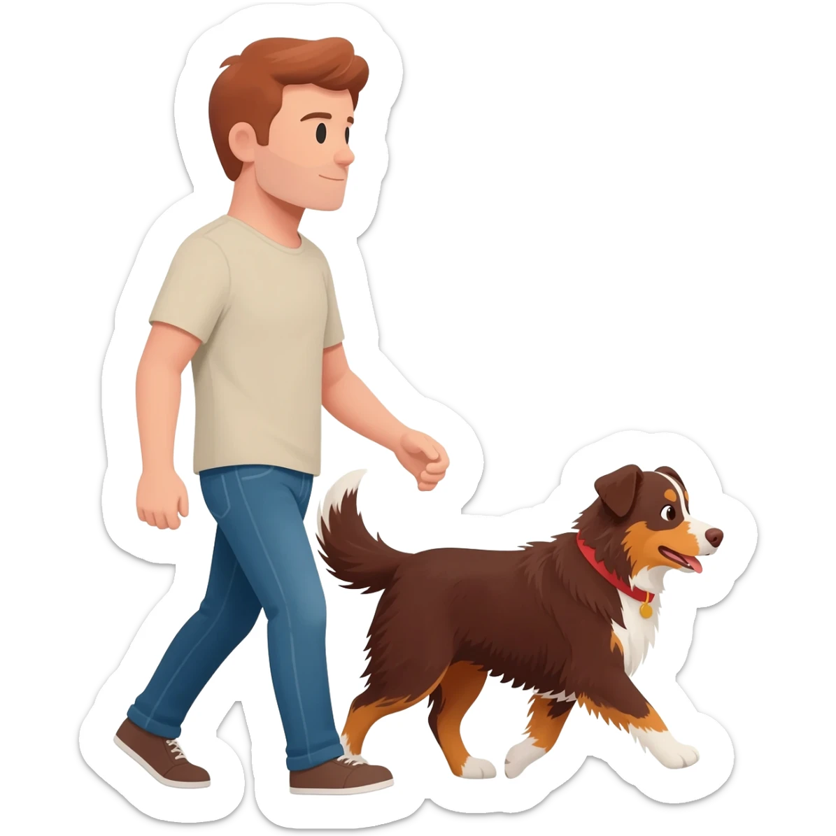 A man dog walker with and Aussie red merle. sticker