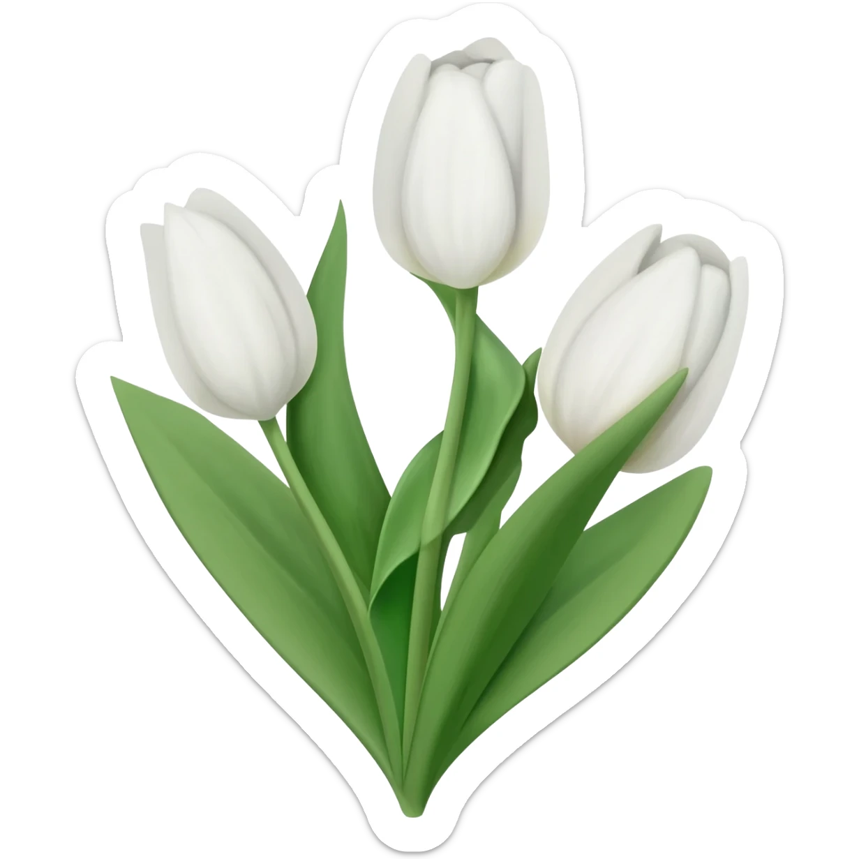White tulips sticker