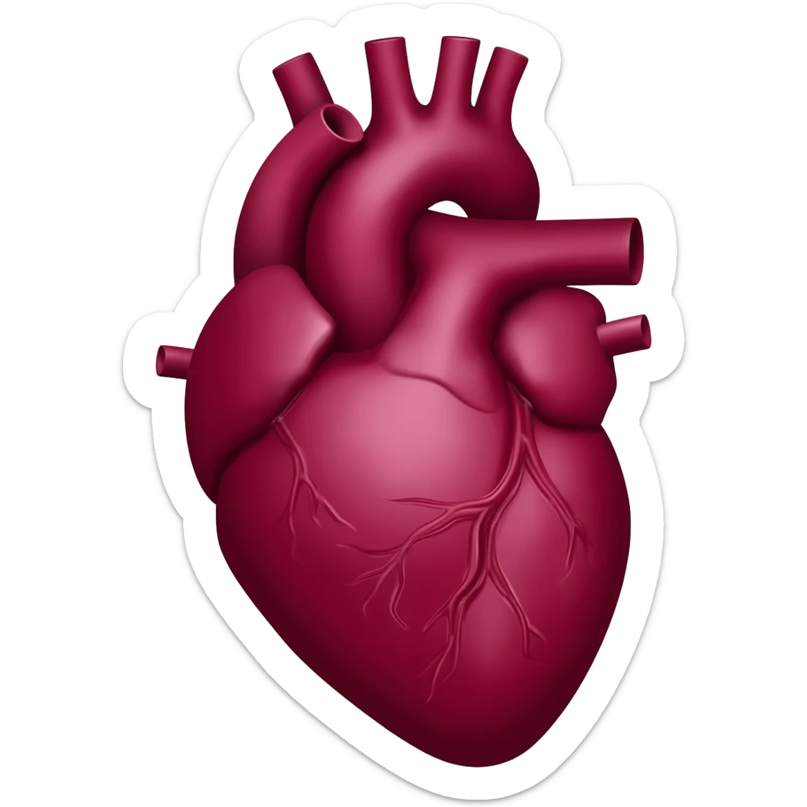 Burgundy anatomical heart  sticker