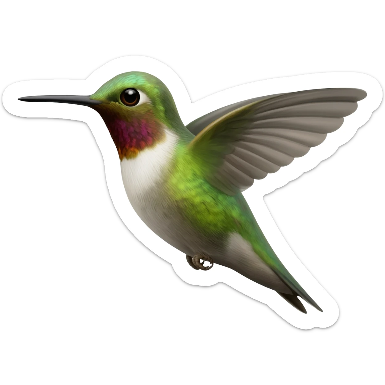 hummingbird sticker