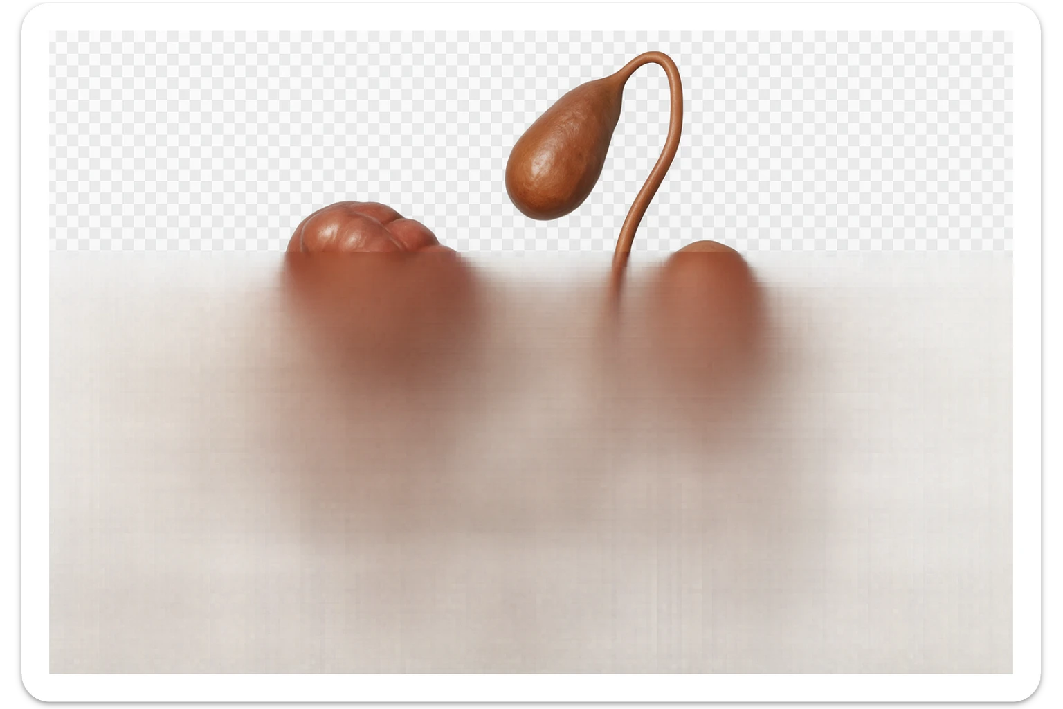 CISTIFELLEA E INTESTINO SONO COLLEGATI NEL DOLORE, SENZA SCRITTE E L'INTESTINO FALLO PERFETTO E REALISTICO, NON DISEGNATO iperrealistico 4k sticker