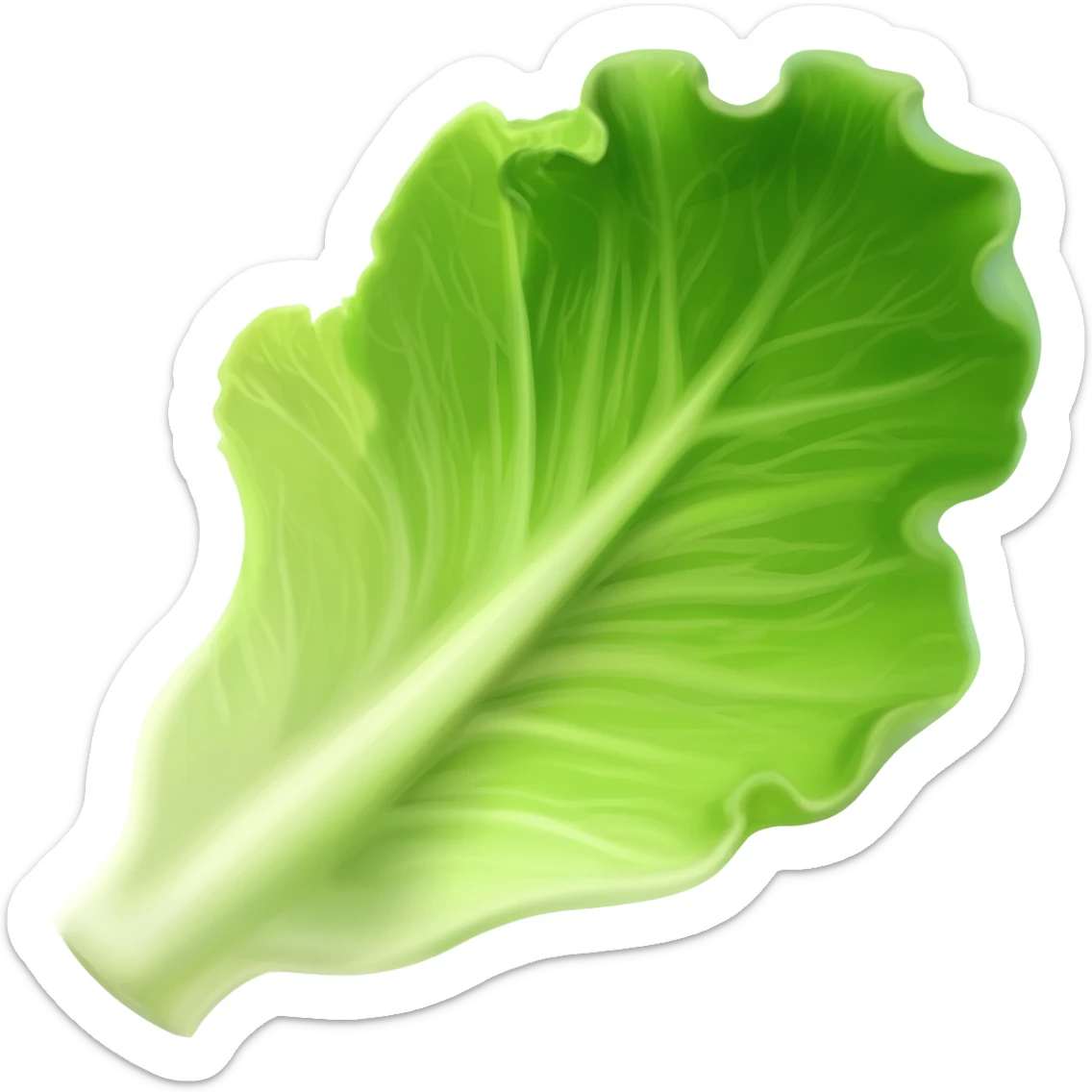 slide of lettuce sticker