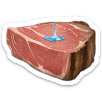 glass of water suspended horizontally in the air above a slice of rare steak on a plate, the water pouring out onto the top of the steak sticker
