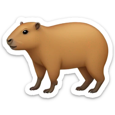 Capybara  sticker