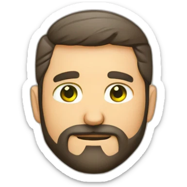 Hombre 40 años ojos verdes media barba canosa calvo nariz fina sticker