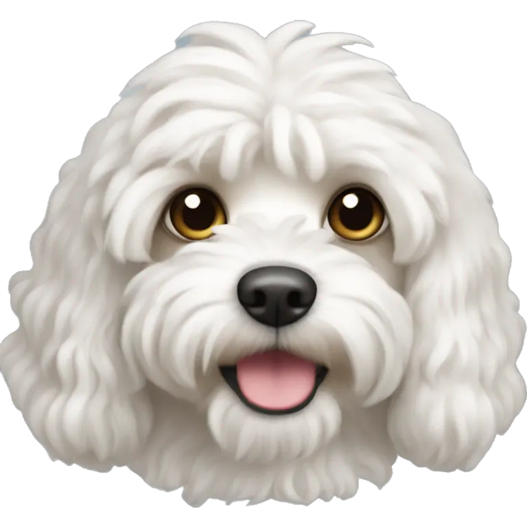 White Cavapoo  emoji