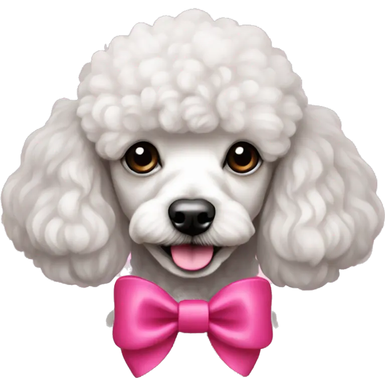 Mini poodle con un lazo rosado emoji