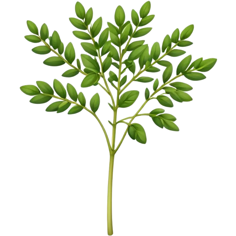 Fenugreek plant  emoji