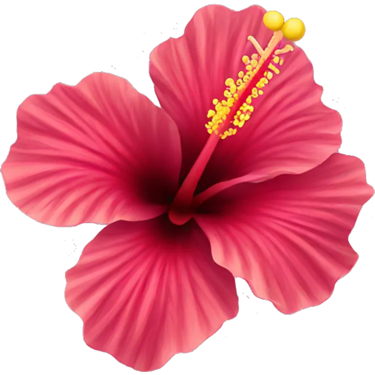 Hibiscus flower  emoji