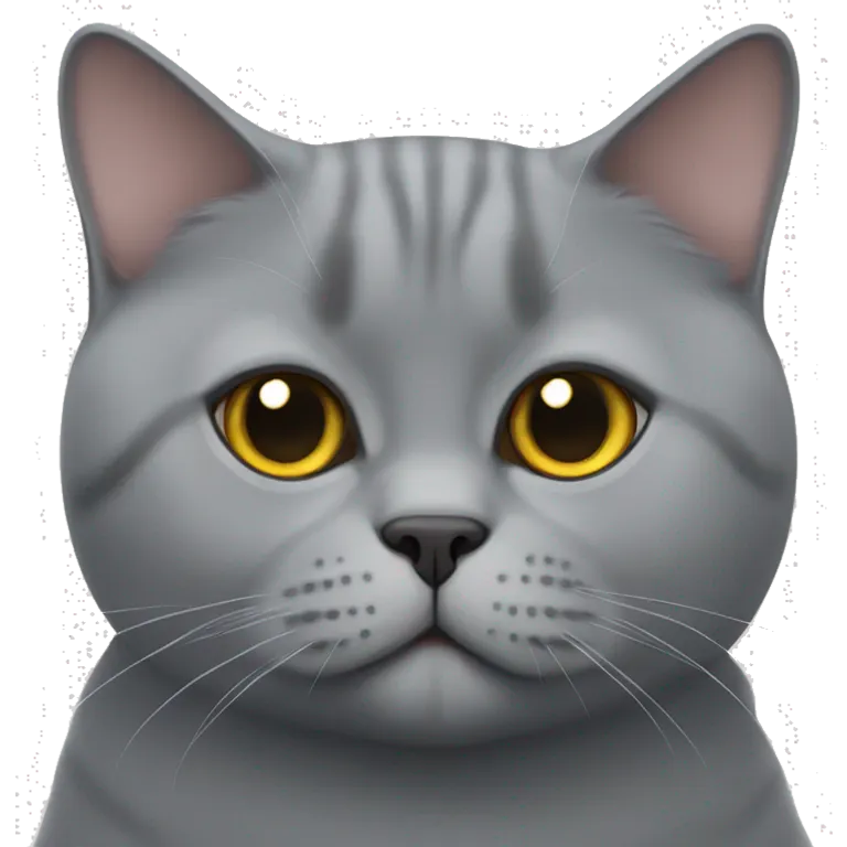 a british shorthair cat emoji