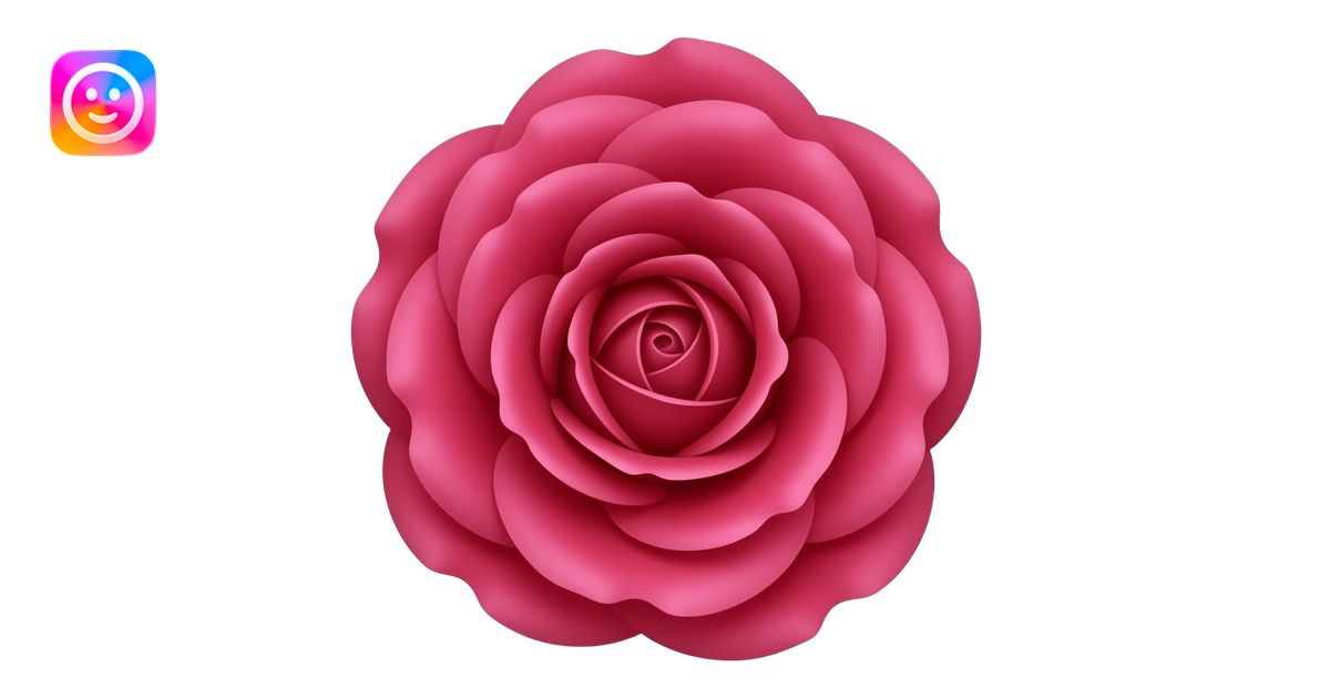 Vivid red‑raspberry rose, subtle pink edge on petals, Baronesse by ...