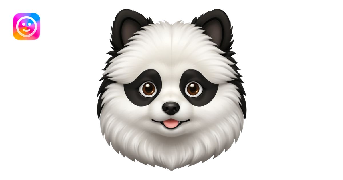 Dog pomeranian but hes like a panda the color and everything he has all ...