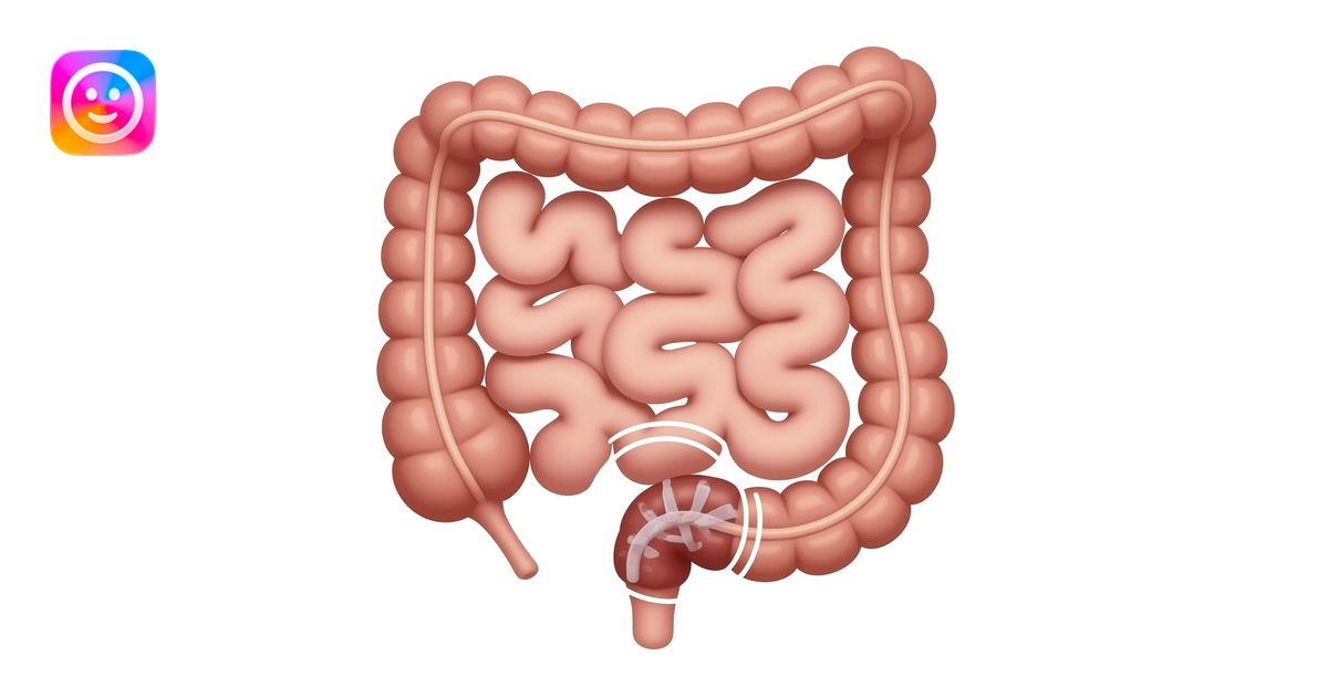 appendix in bowel anatomy image, circle around the appendix emoji | AI ...
