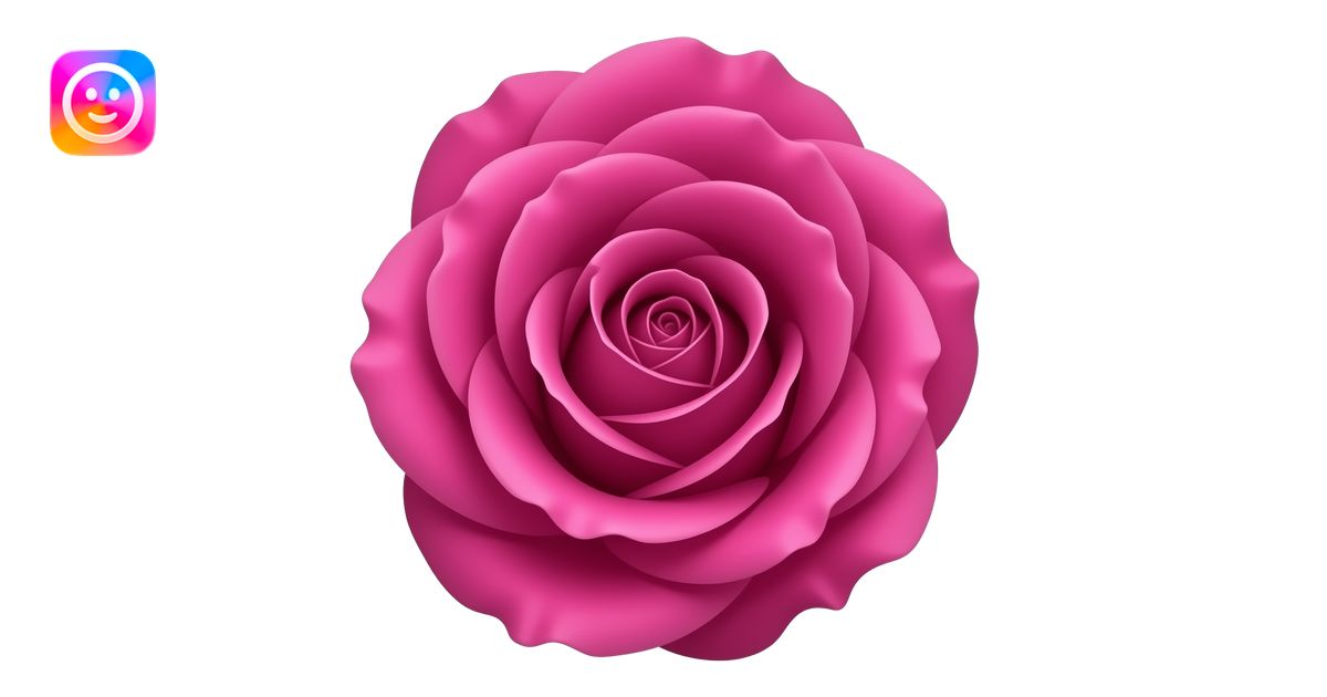 Vivid magenta-fuchsia rose, Baronesse by Tantau, dense rosette petals ...