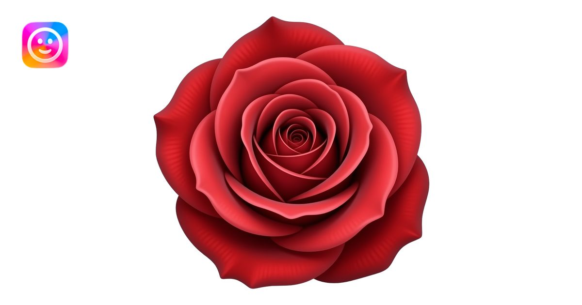 Bold red rose, deep crimson center fading to vivid scarlet edges, tight ...