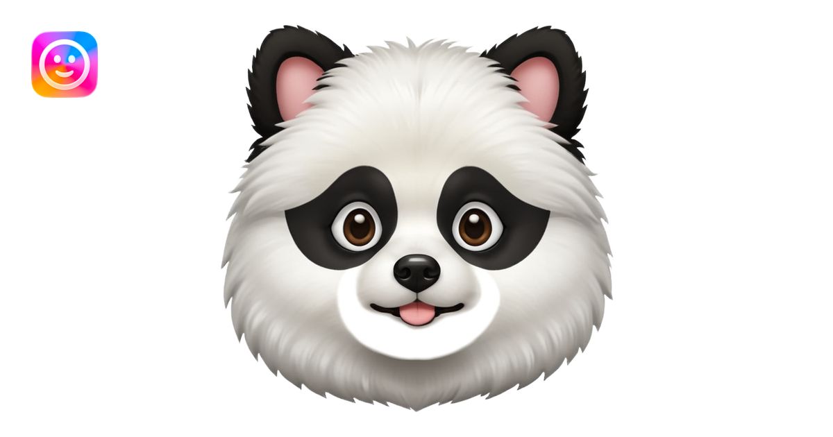 Dog pomeranian but hes like a panda the color and everything he has all ...