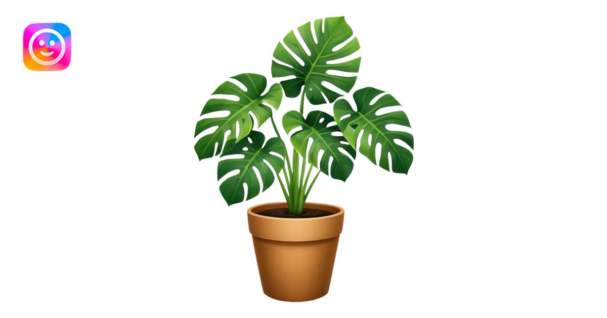 Potted plant, the potted plant contains Monstera deliciosa. emoji AI