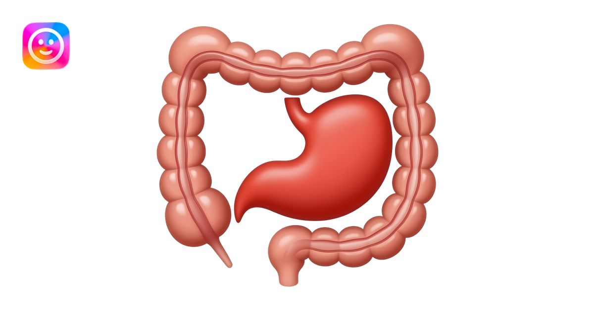 red appendix in bowel anatomy image emoji | AI Emoji Generator