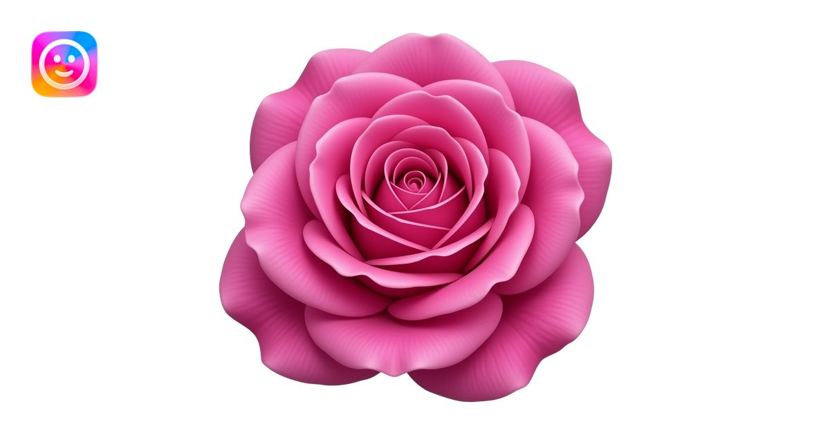 Realistic Baronesse rose by Tantau, vibrant fuchsia color, dense ...