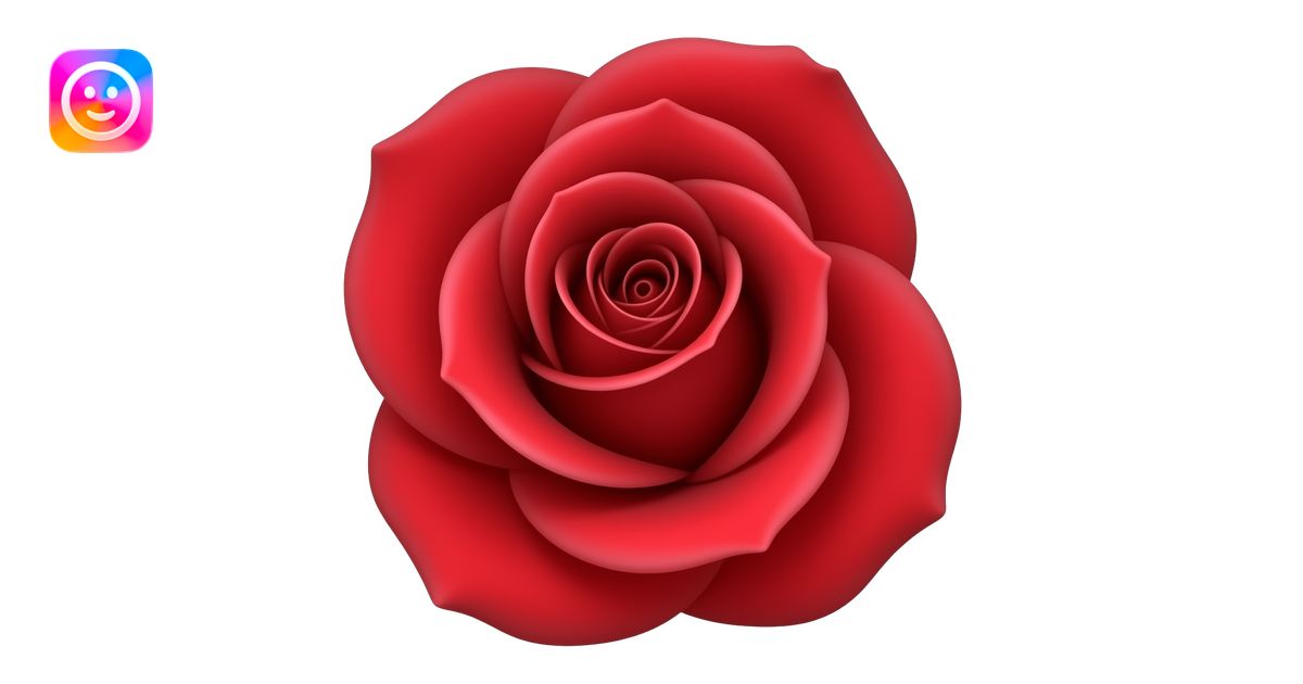 Bold red rose, deep crimson center fading to vivid scarlet edges, tight ...