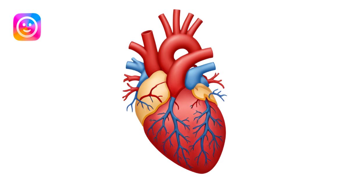 1.5 Circulatory System 🩸 💓 🔄 emoji | AI Emoji Generator