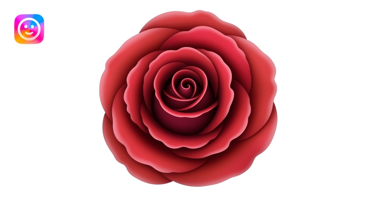 Bold red rose, deep crimson center fading to vivid scarlet edges, tight ...