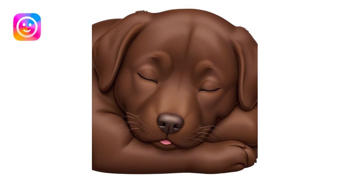 Meme-Worthy Cute Sleeping Chocolate Labrador Portrait Emoji, Head ...