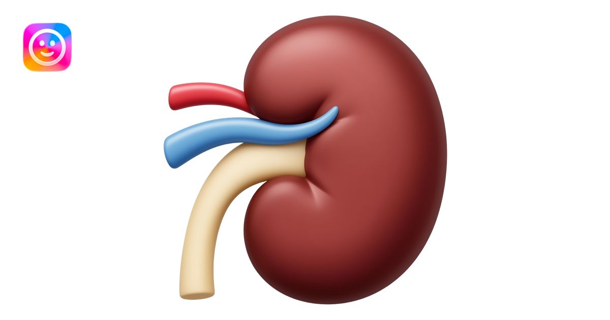 Human kidney emoji | AI Emoji Generator