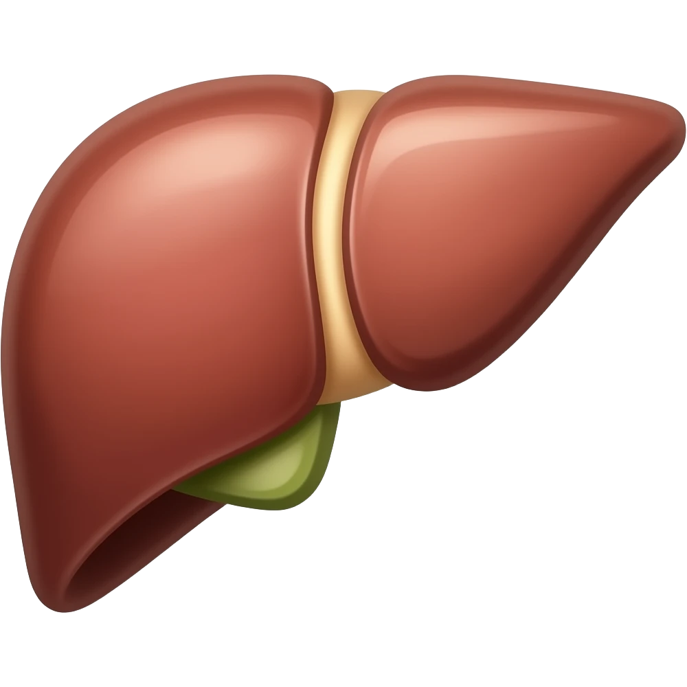 Liver emoji