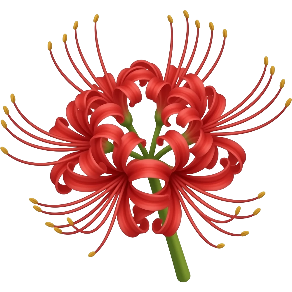 spider lily red emoji