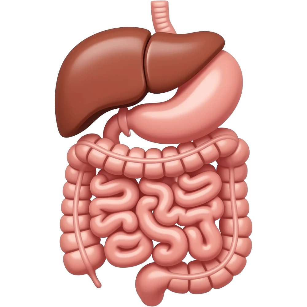 aparato digestivo emoji