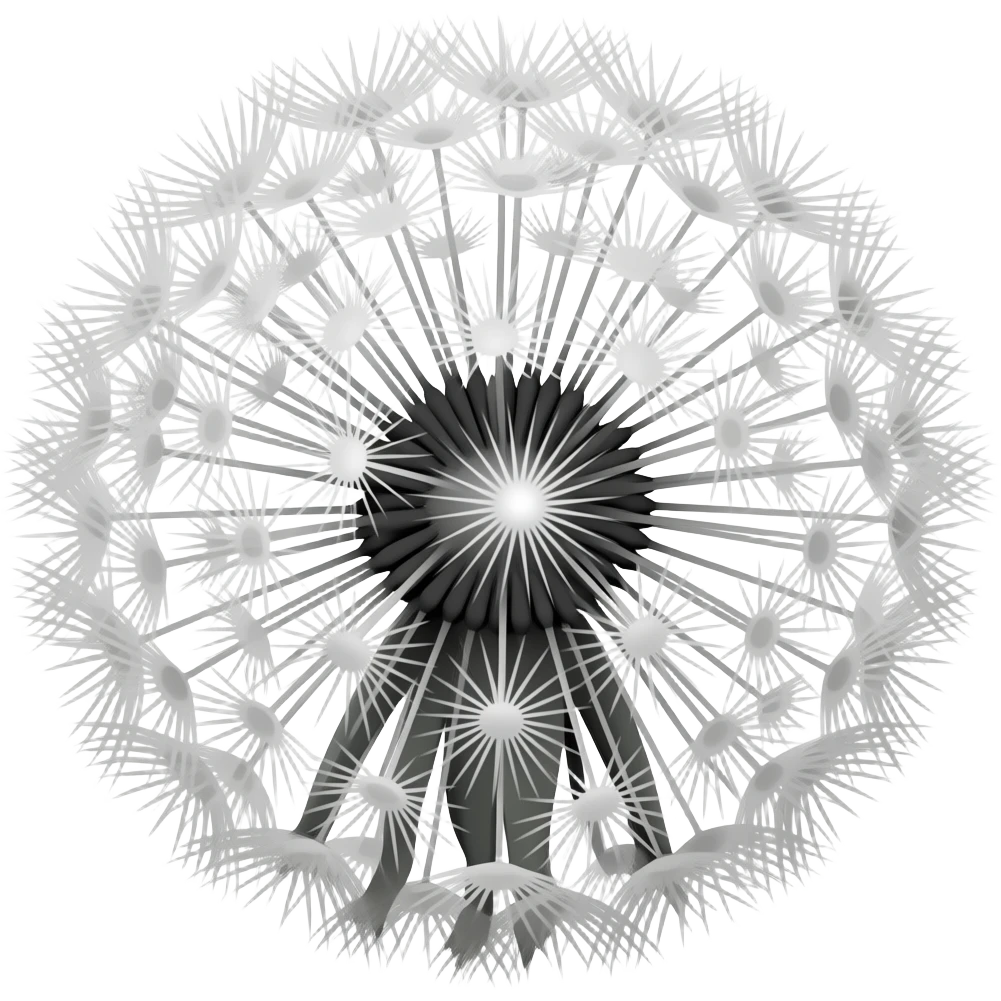 Dandelion. Isnide flower curcle shape and ut bas thise seed withthe white fluff. I need the black and white emoji emoji