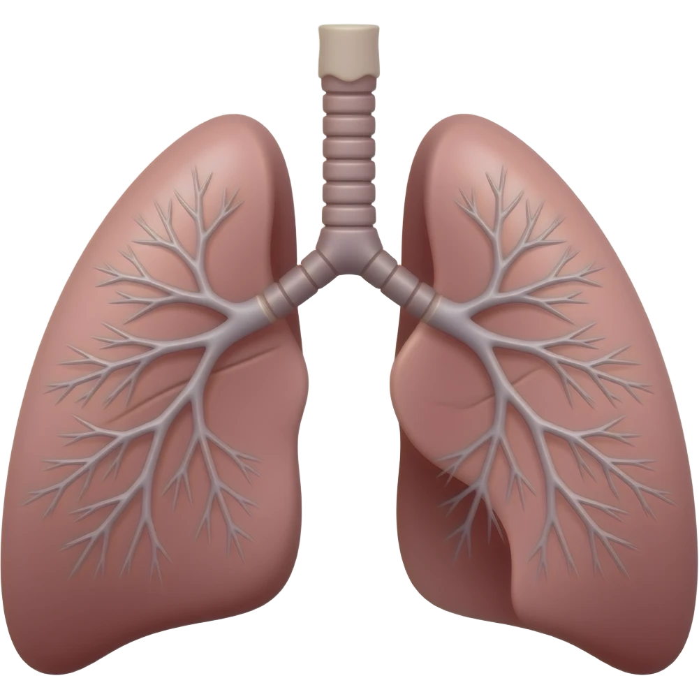 Pilot lungs emoji