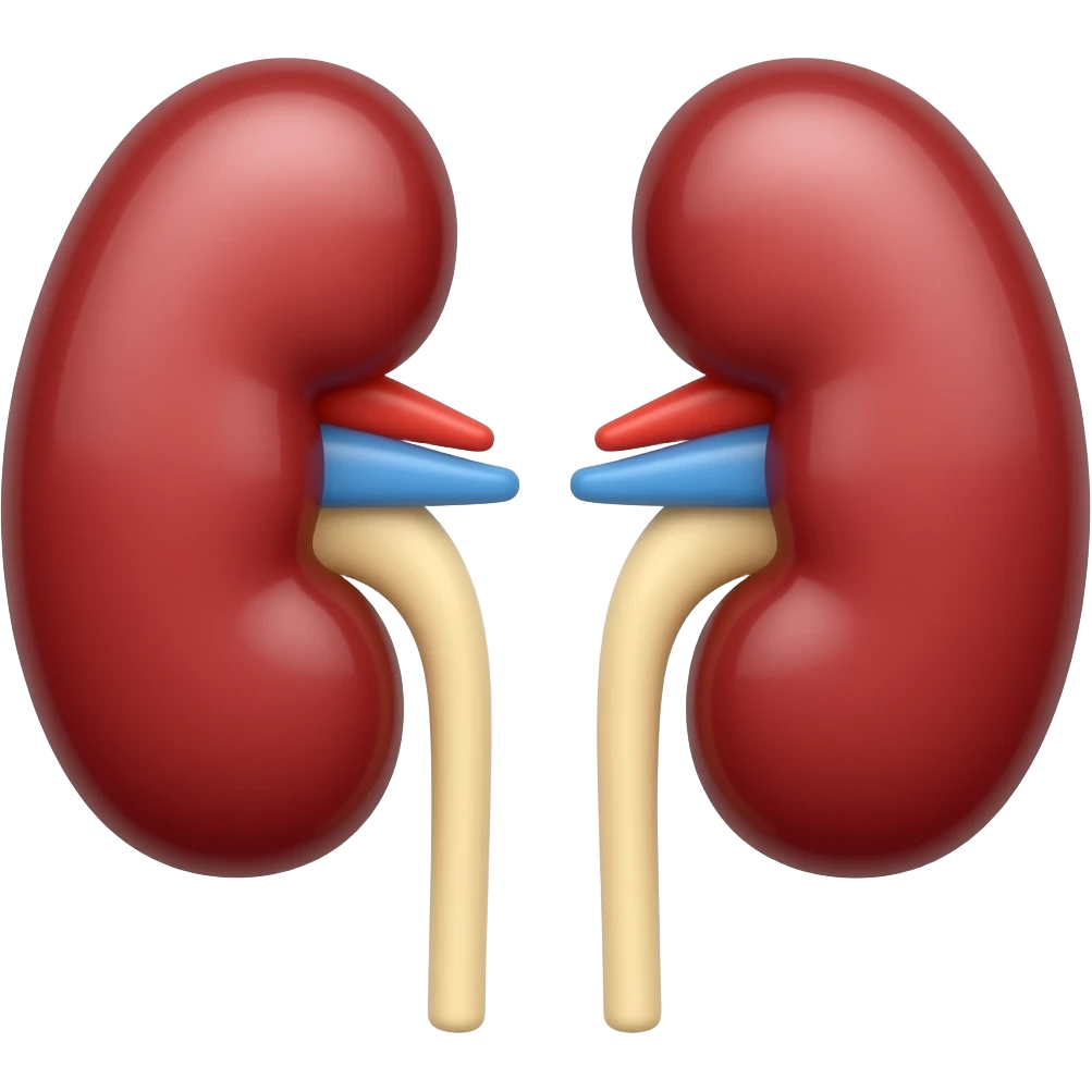 kidney emoji