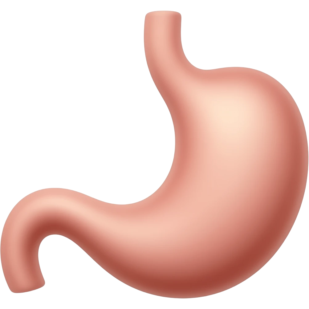 Stomach emoji