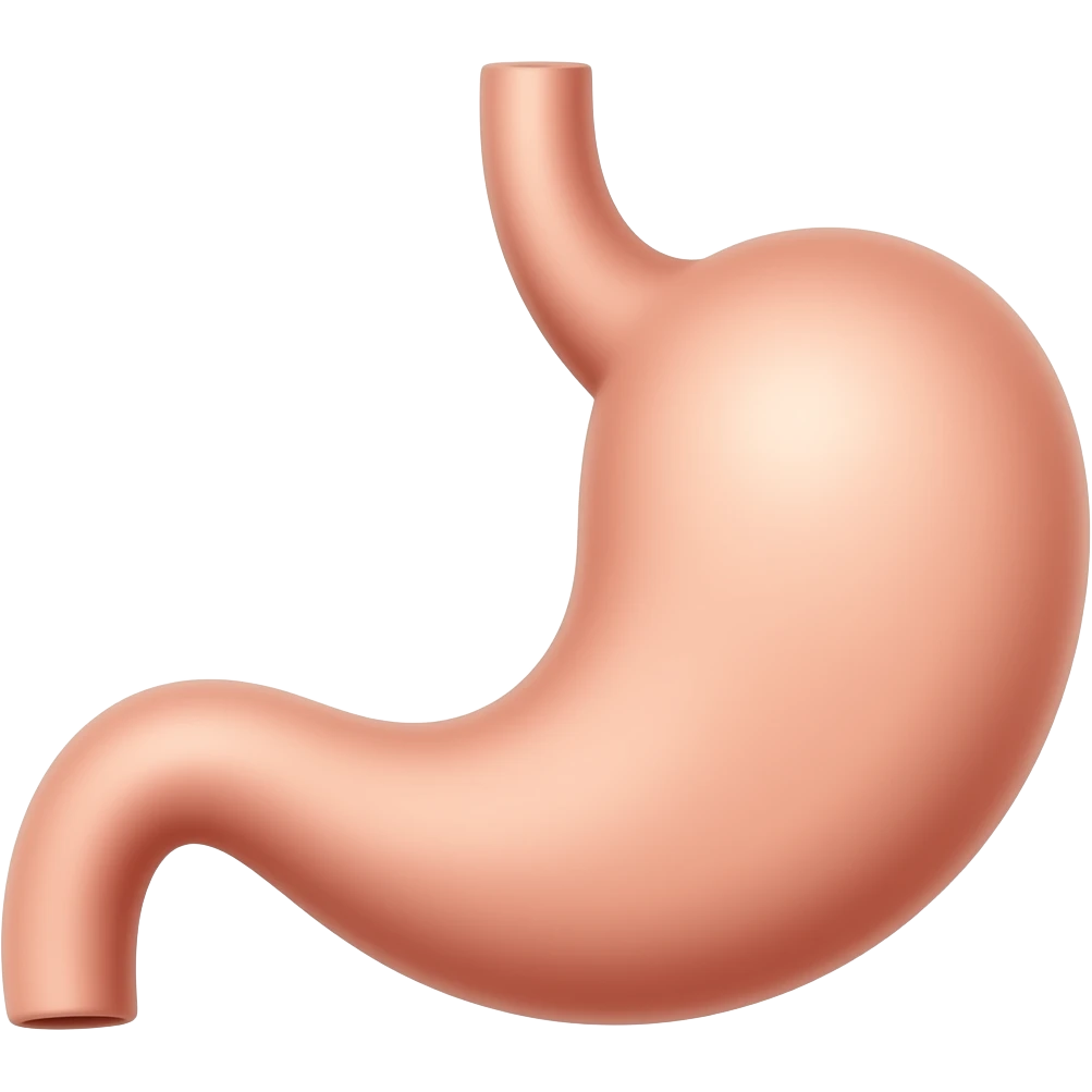 Two stomachs emoji