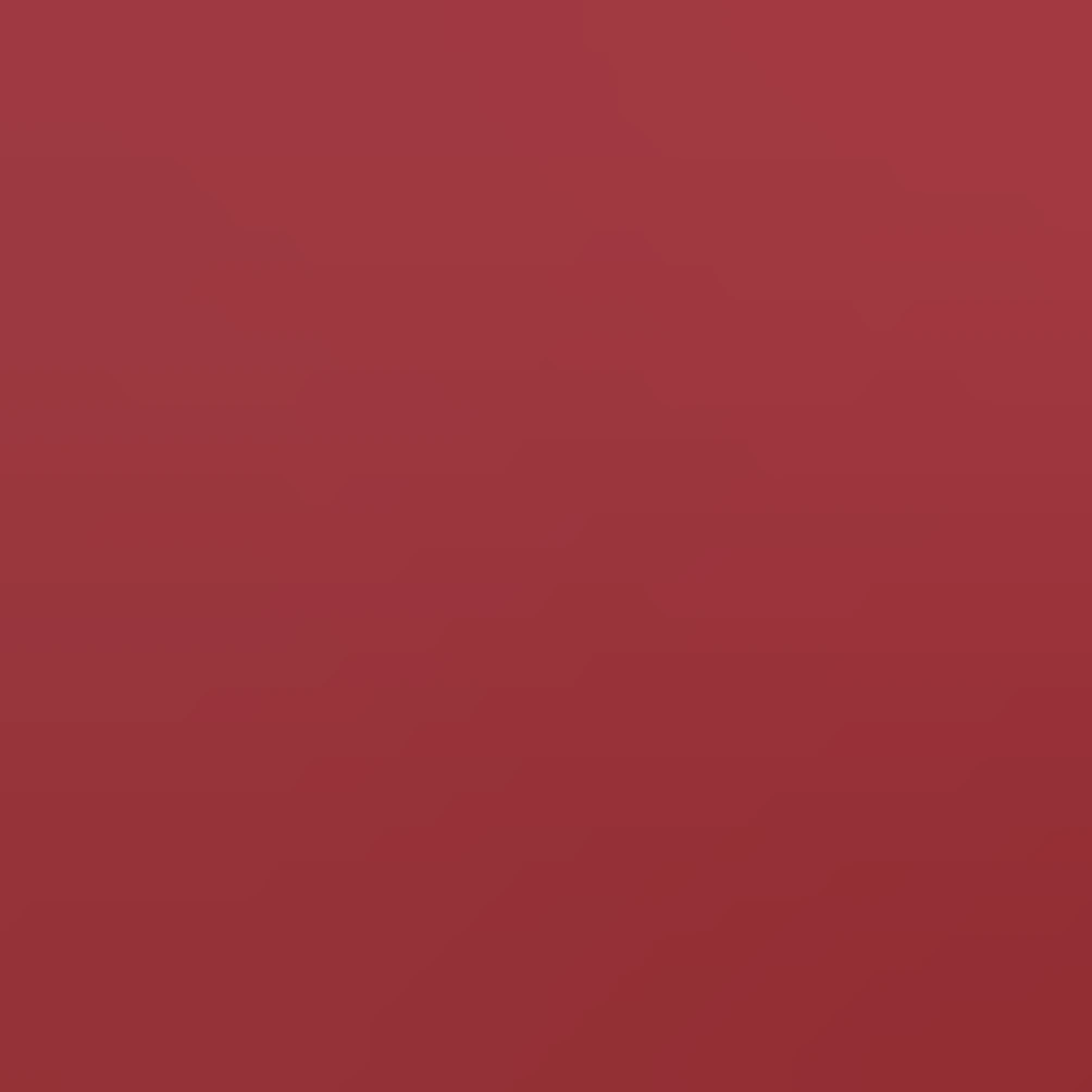 Bold red rose, deep crimson center fading to vivid scarlet edges, tight ...