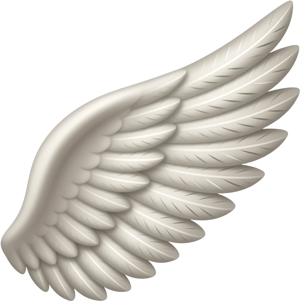 wing emoji