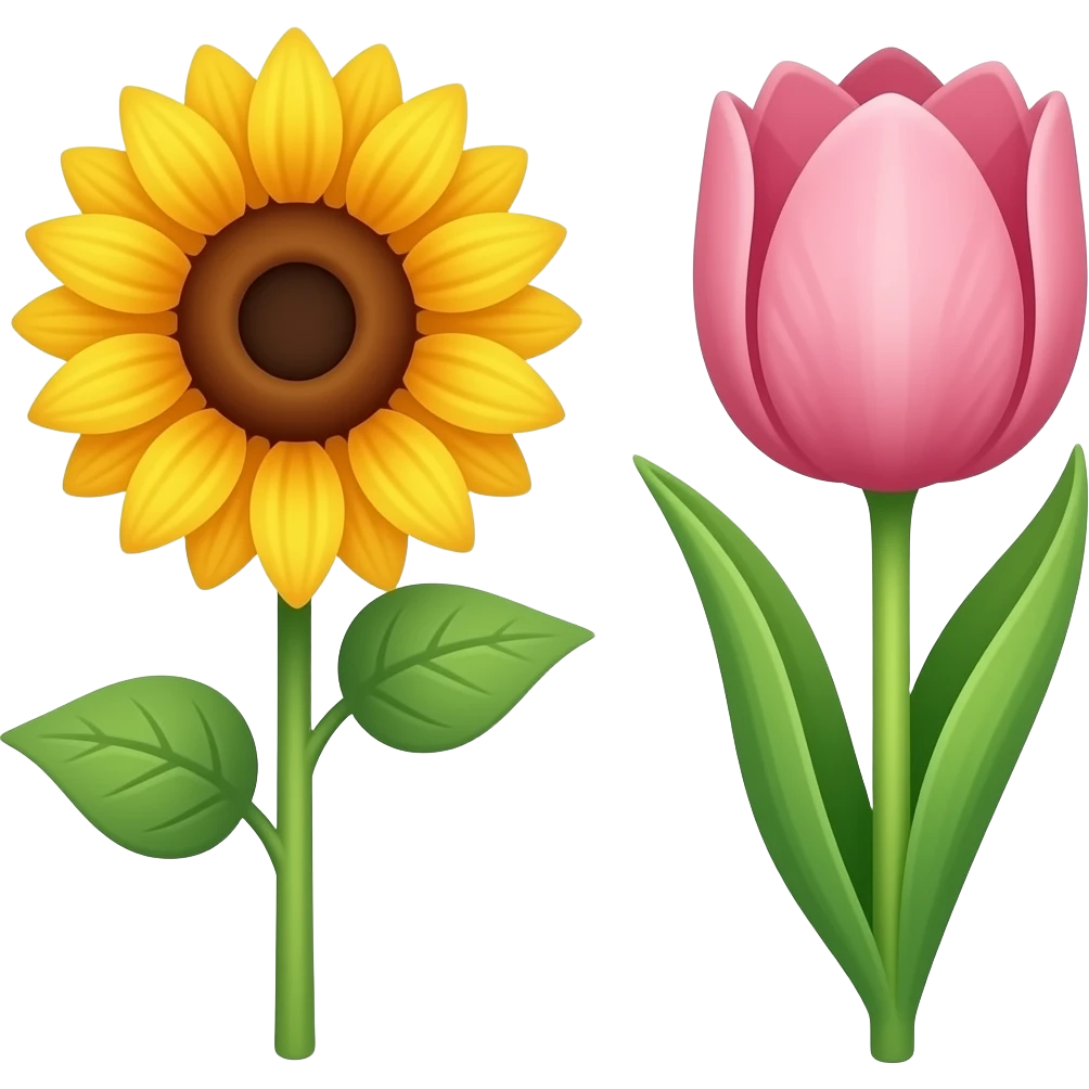 🌻🌷 emoji