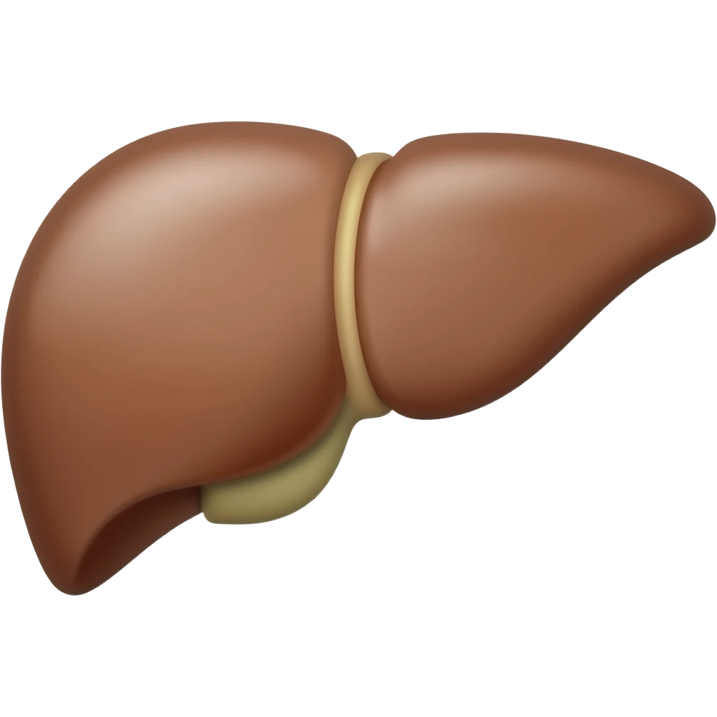 Liver emoji