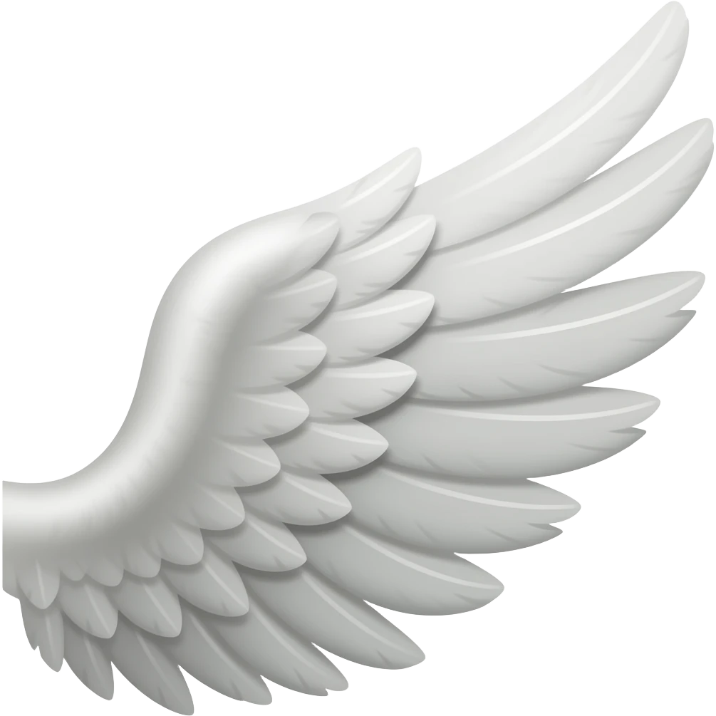 Wings emoji
