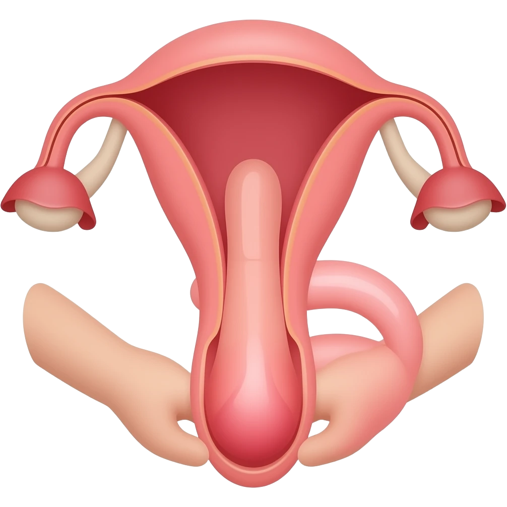 Penis sliding in a vagina emoji