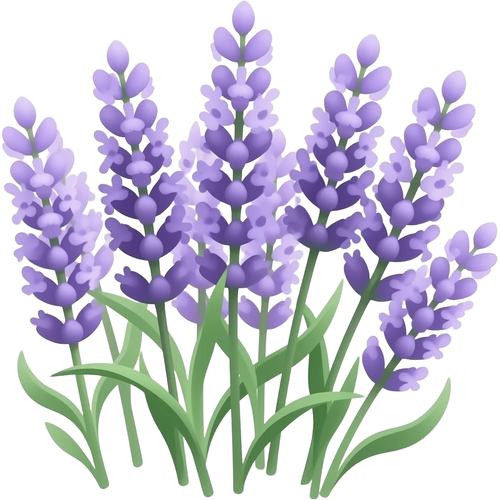 Lavender emoji