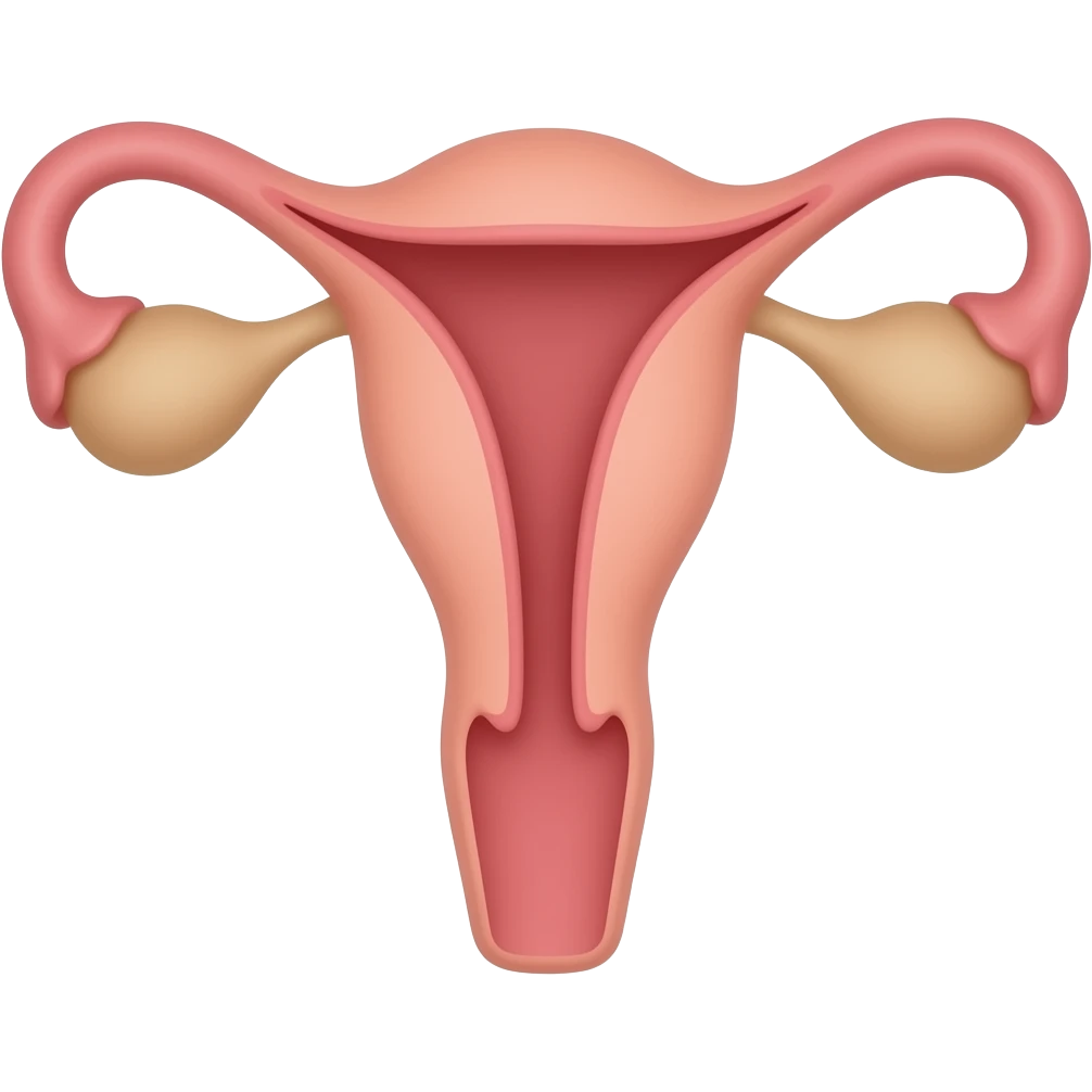 La vajina de una mujer emoji