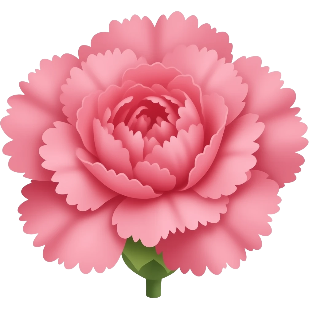 A  Pink Carnation with no stem or leaves. emoji