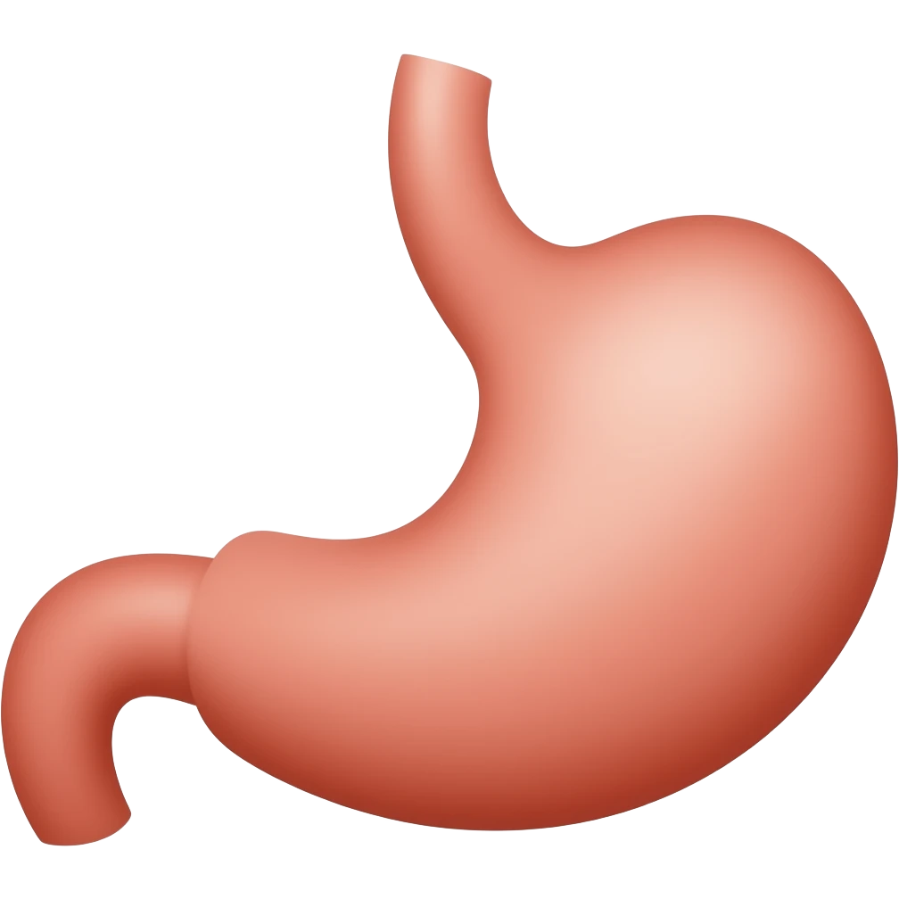 Two stomachs emoji