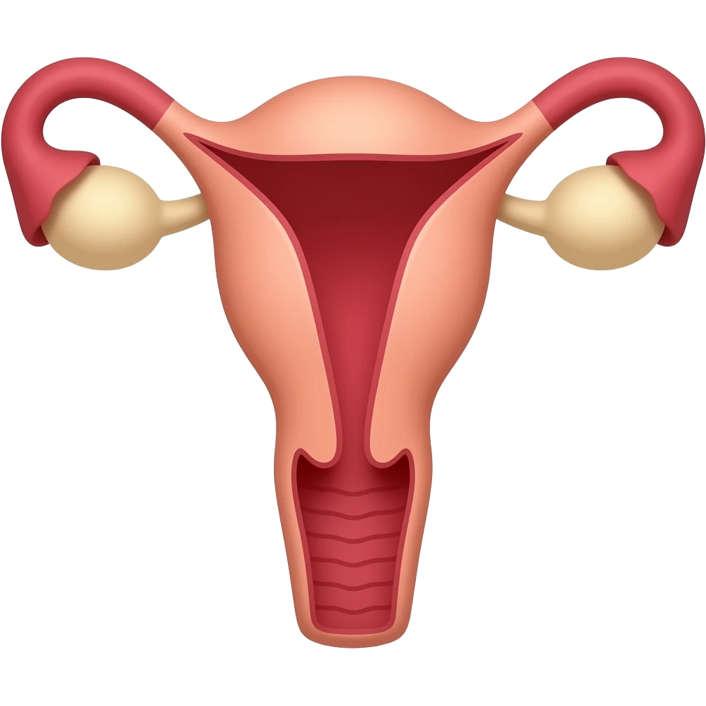 Human Female vigina emoji