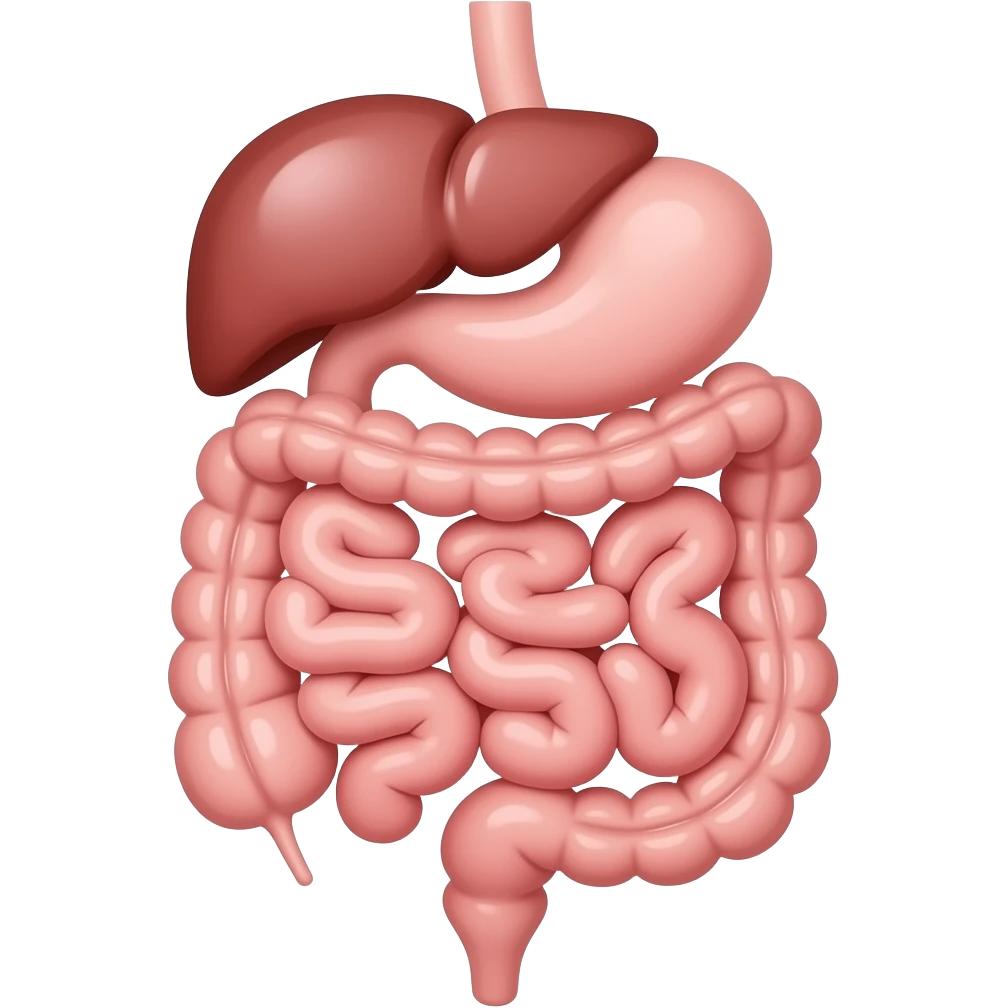 digestion emoji